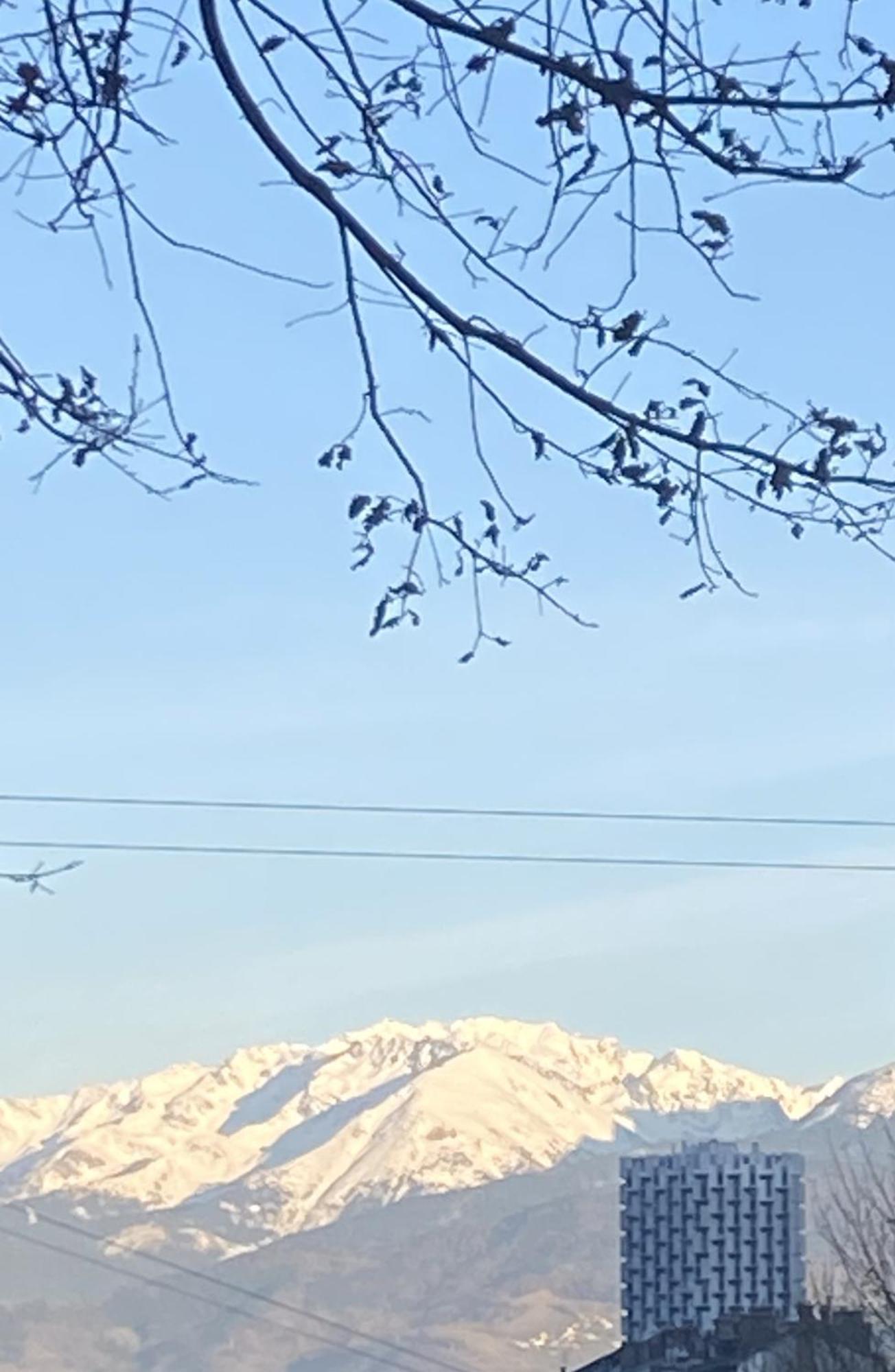 Appartamento Tres Elegant Duplex, Proche Gare Grenoble Esterno foto